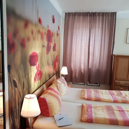 Hotel Suedhotel 3*